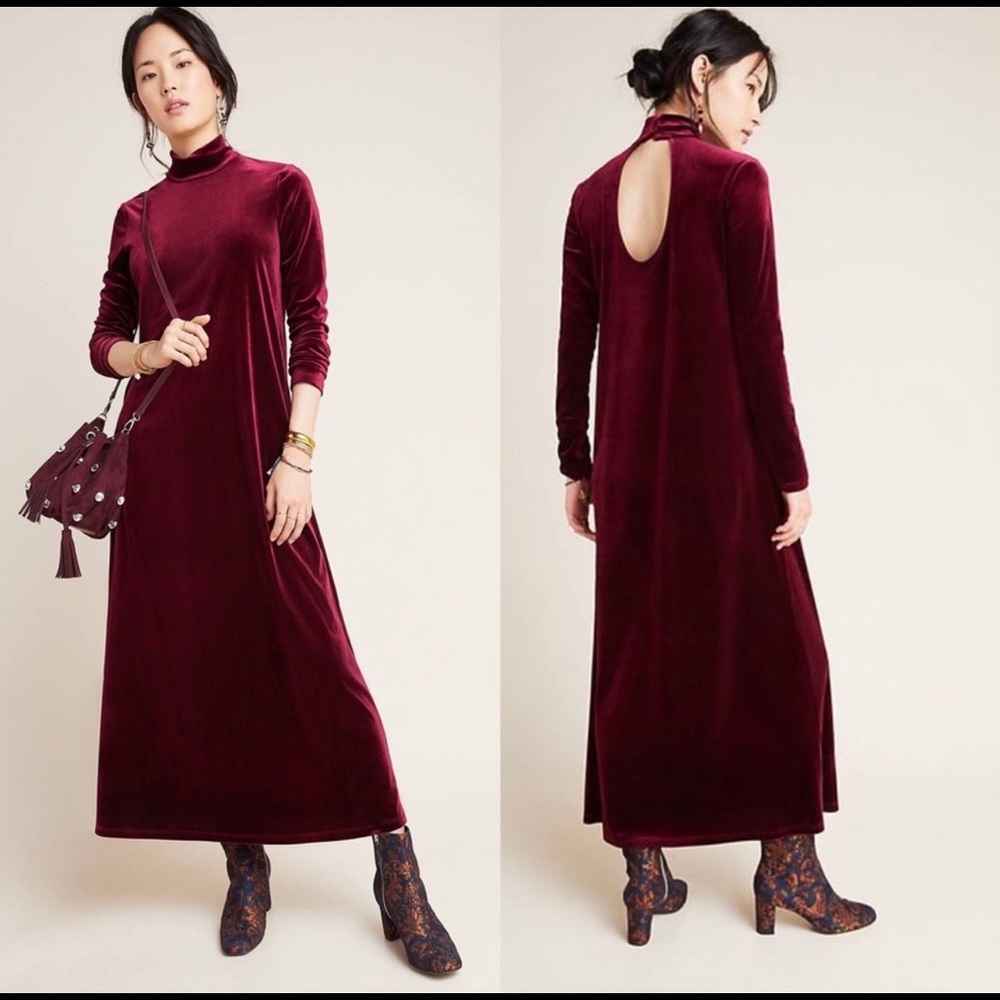 Size Small nwot Amadi Anthropologie velour midi